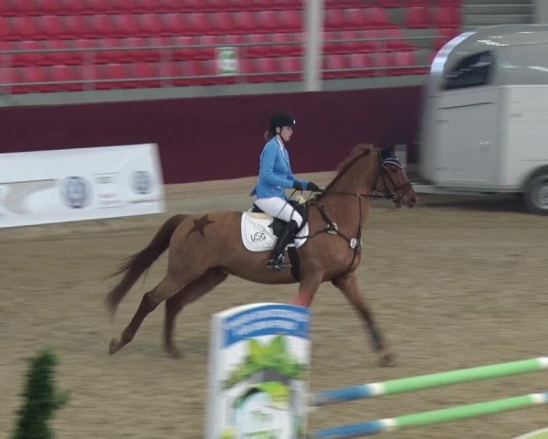 Reitturnier Neustadt/Dosse 2018
