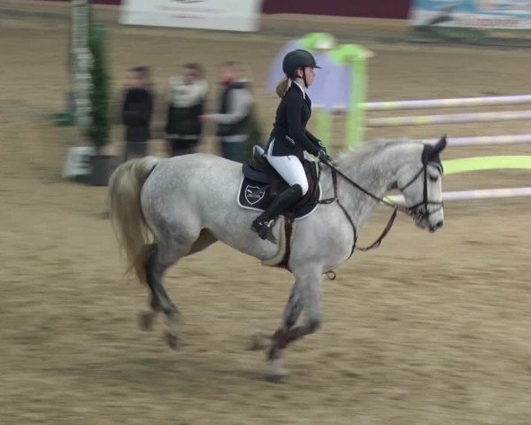 Reitturnier Neustadt/Dosse 2018
