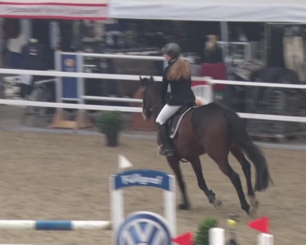 Reitturnier Neustadt/Dosse 2018
