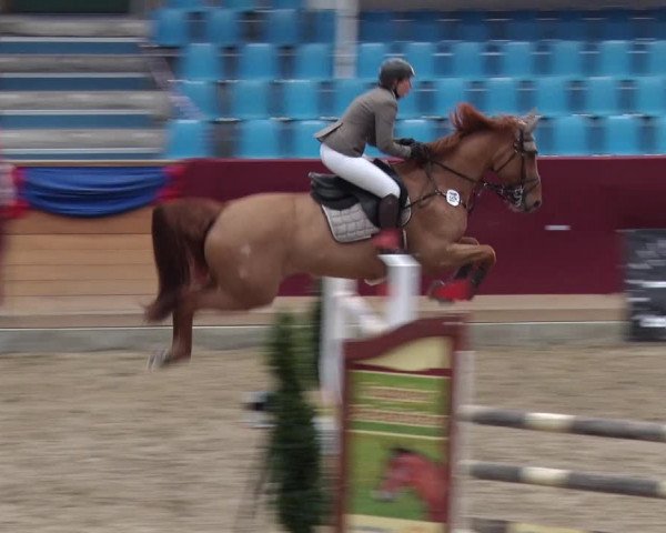 Reitturnier Neustadt/Dosse 2018
