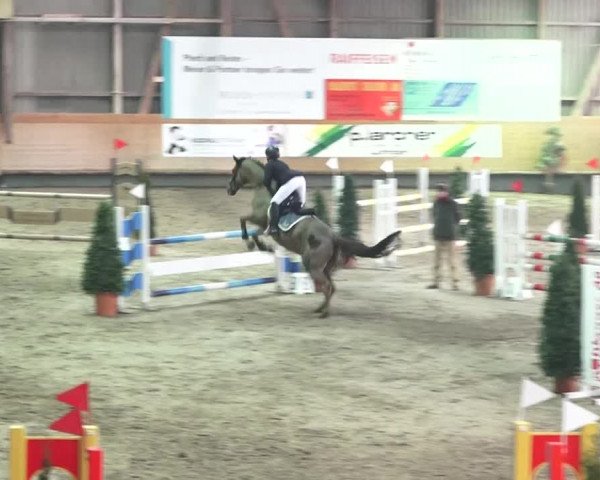 Reitturnier Bülach 2018
