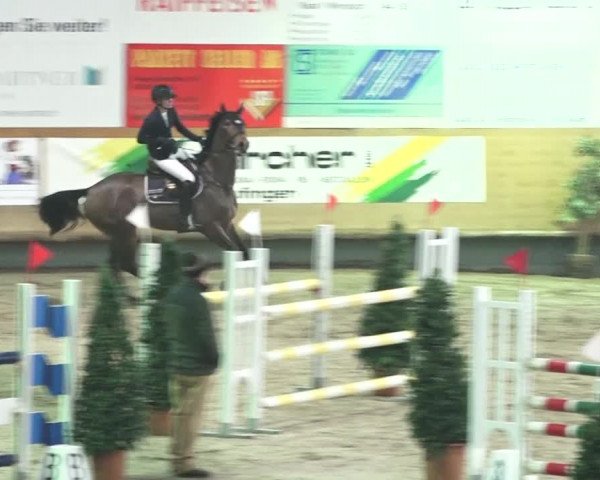 Reitturnier Bülach 2018