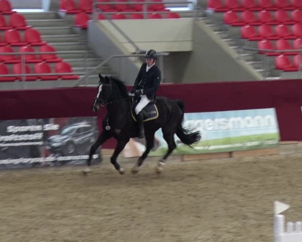 Reitturnier Neustadt/Dosse 2018