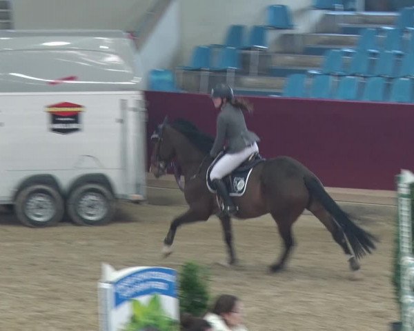 Reitturnier Neustadt/Dosse 2018