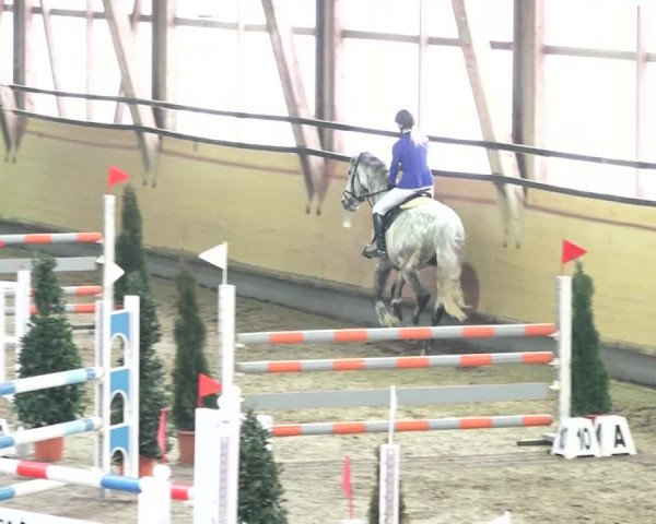 Reitturnier Bülach 2018