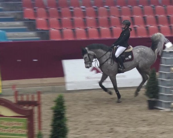 Reitturnier Neustadt/Dosse 2018