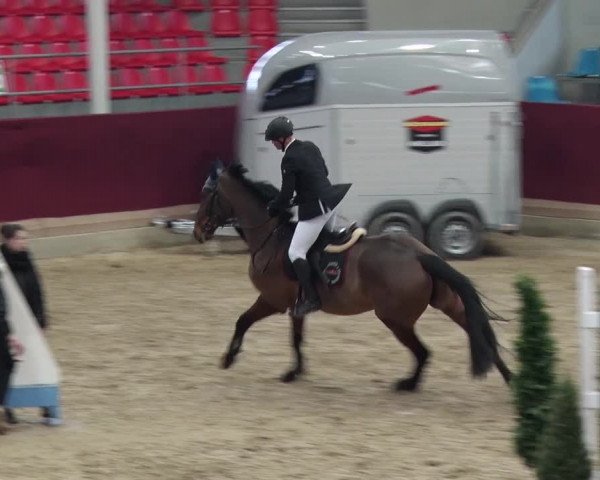 Reitturnier Neustadt/Dosse 2018