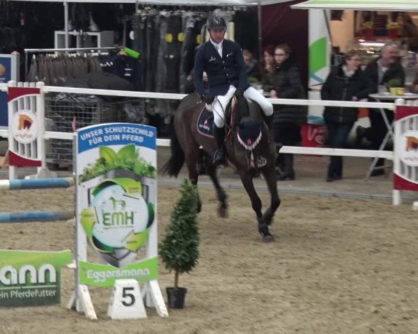 Reitturnier Neustadt/Dosse 2018