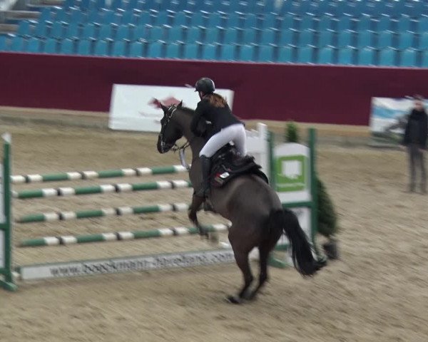 Reitturnier Neustadt/Dosse 2018