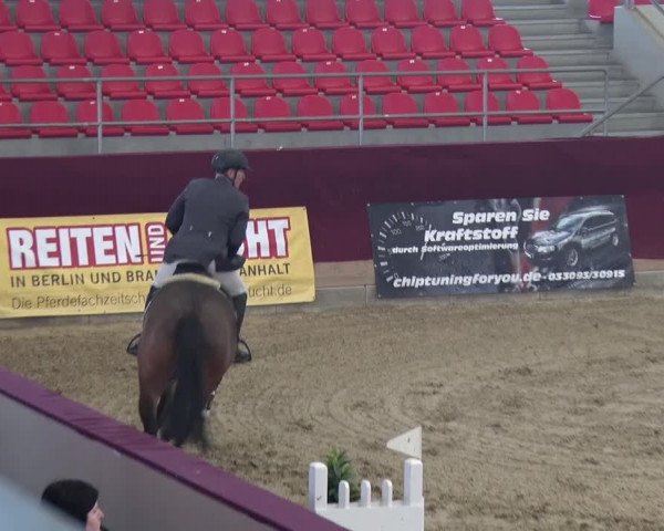 Reitturnier Neustadt/Dosse 2018