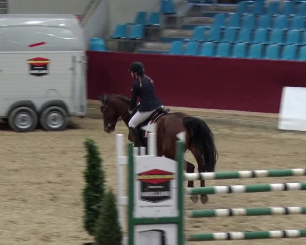 Reitturnier Neustadt/Dosse 2018