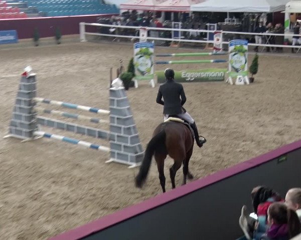 Reitturnier Neustadt/Dosse 2018