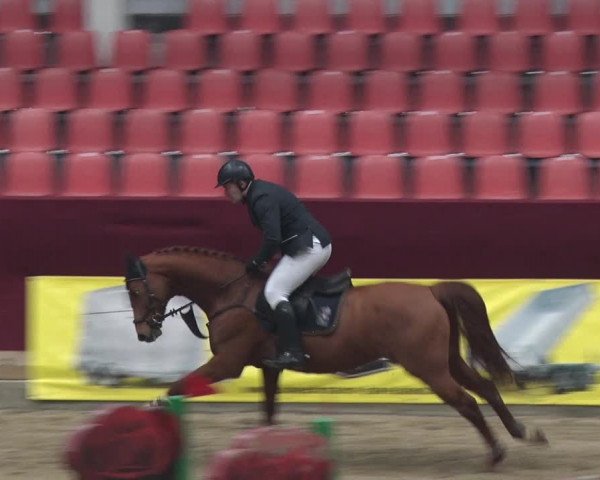 Reitturnier Neustadt/Dosse 2018