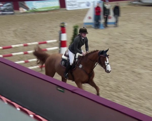 Reitturnier Neustadt/Dosse 2018