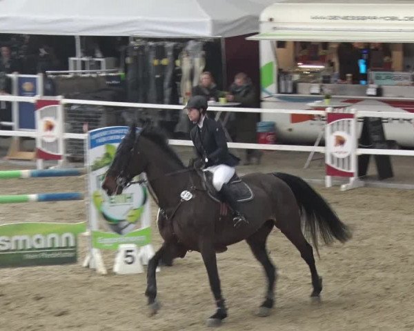 Reitturnier Neustadt/Dosse 2018