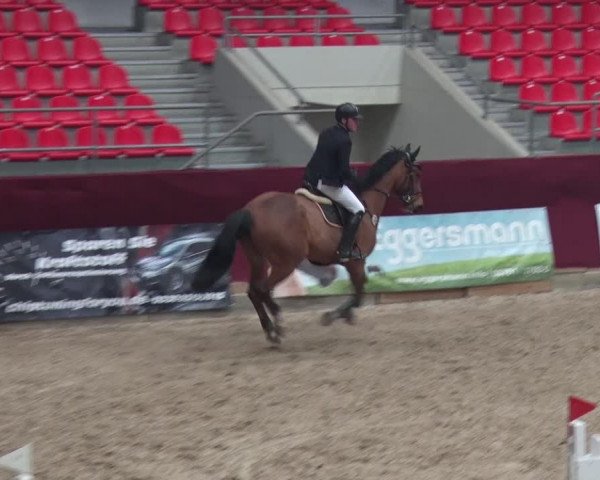 Reitturnier Neustadt/Dosse 2018