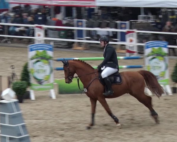 Reitturnier Neustadt/Dosse 2018