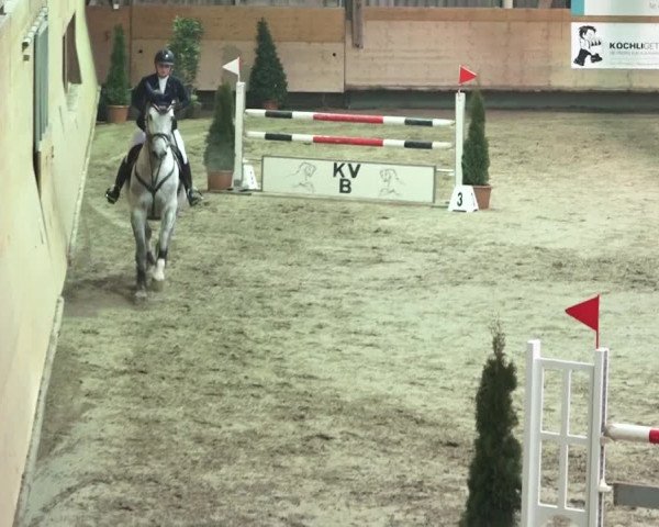Reitturnier Bülach 2018