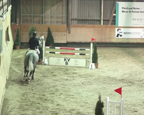 Reitturnier Bülach 2018