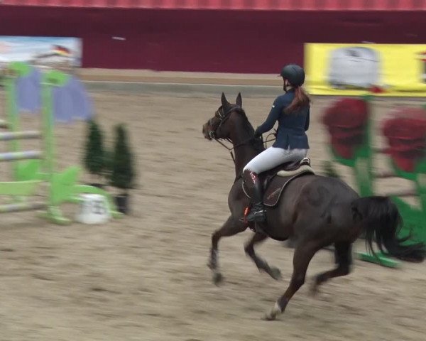 Reitturnier Neustadt/Dosse 2018