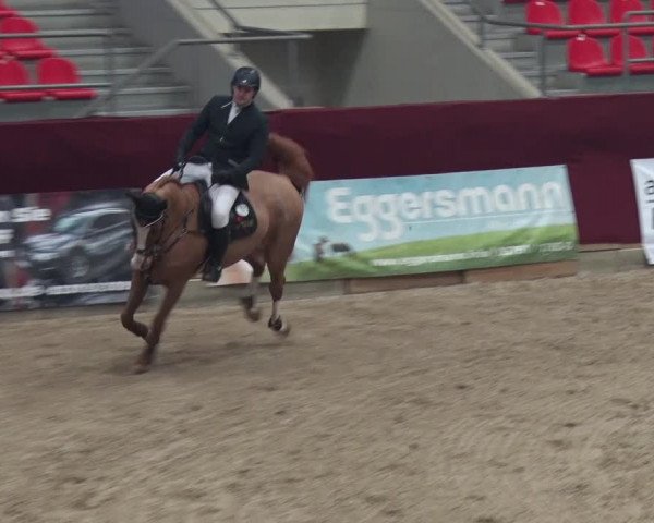 Reitturnier Neustadt/Dosse 2018