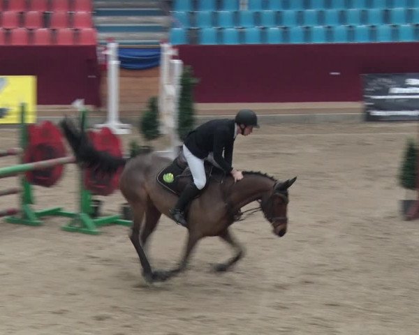 Reitturnier Neustadt/Dosse 2018