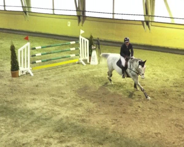 Reitturnier Bülach 2018