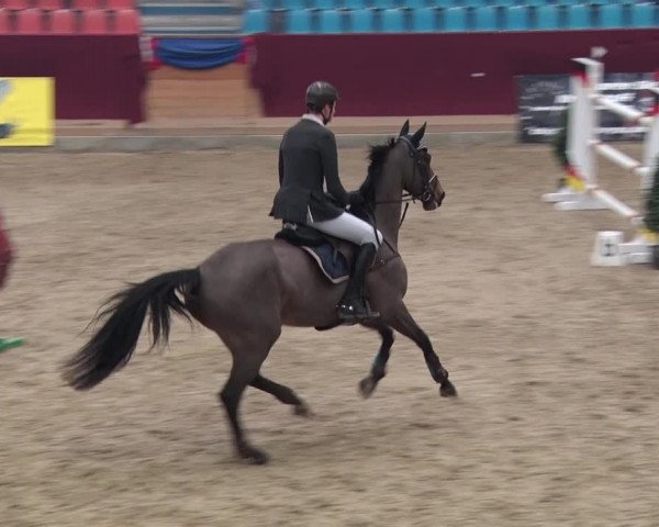Reitturnier Neustadt/Dosse 2018