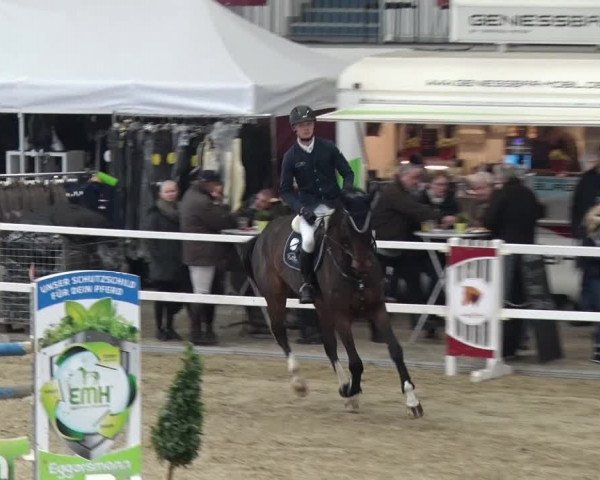 Reitturnier Neustadt/Dosse 2018