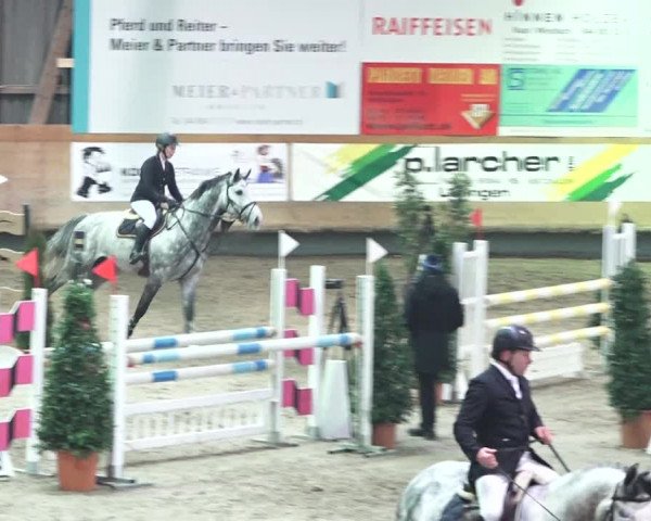 Reitturnier Bülach 2018