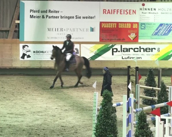Reitturnier Bülach 2018