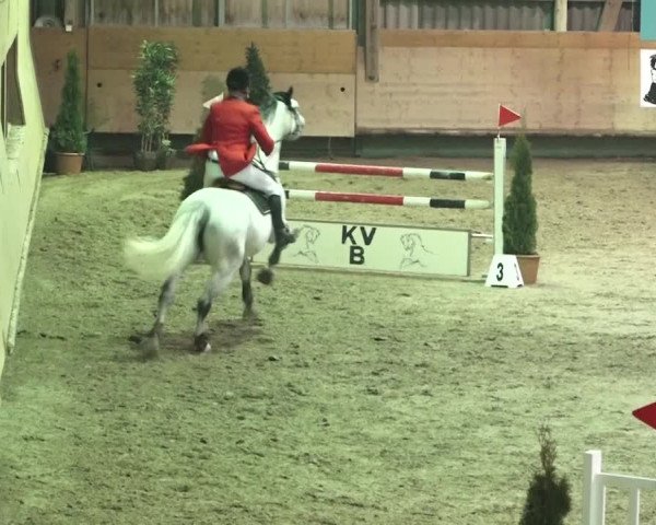 Reitturnier Bülach 2018