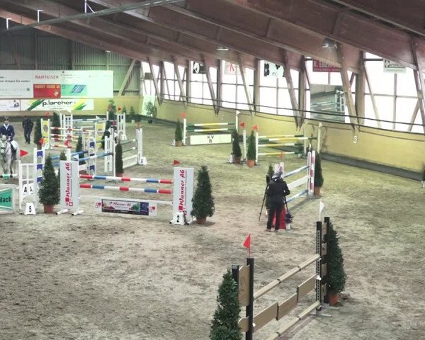 Reitturnier Bülach 2018