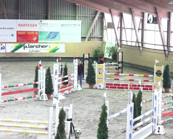 Reitturnier Bülach 2018