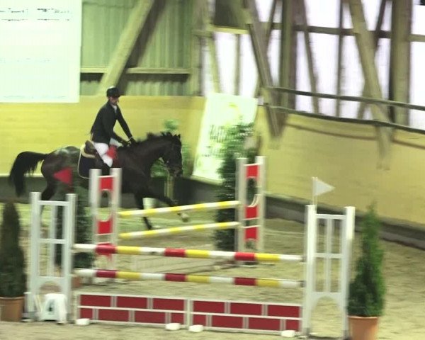 Reitturnier Bülach 2018
