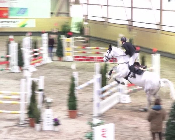 Reitturnier Bülach 2018