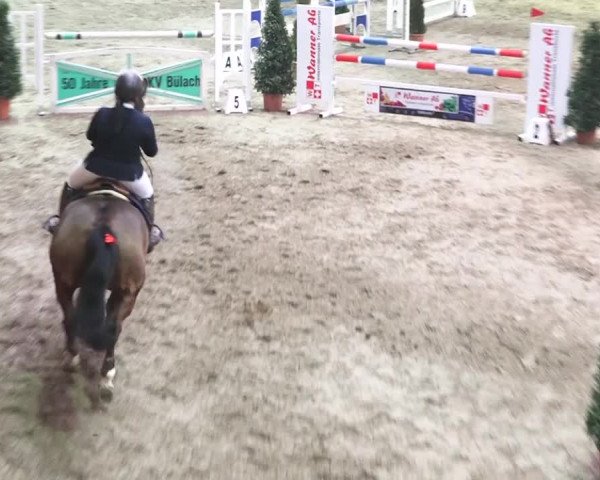 Reitturnier Bülach 2018