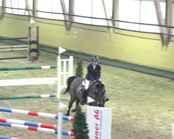 Reitturnier Bülach 2018