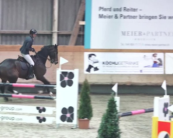 Reitturnier Bülach 2018