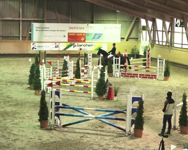 Reitturnier Bülach 2018