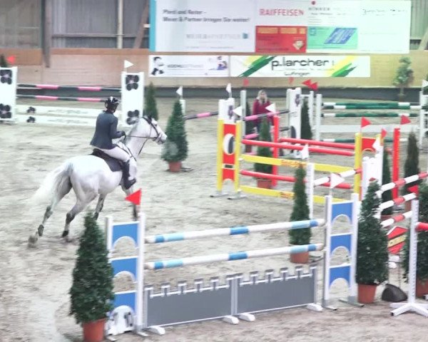 Reitturnier Bülach 2018