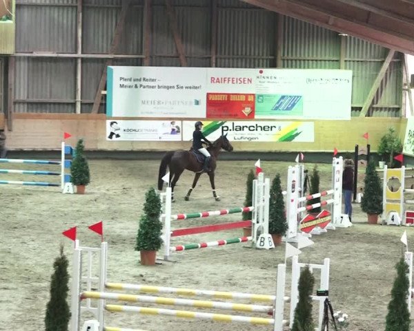 Reitturnier Bülach 2018