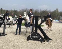 jumper Cissy 12 (Bavarian, 2010, from Cornet Obolensky)