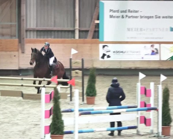 Reitturnier Bülach 2018