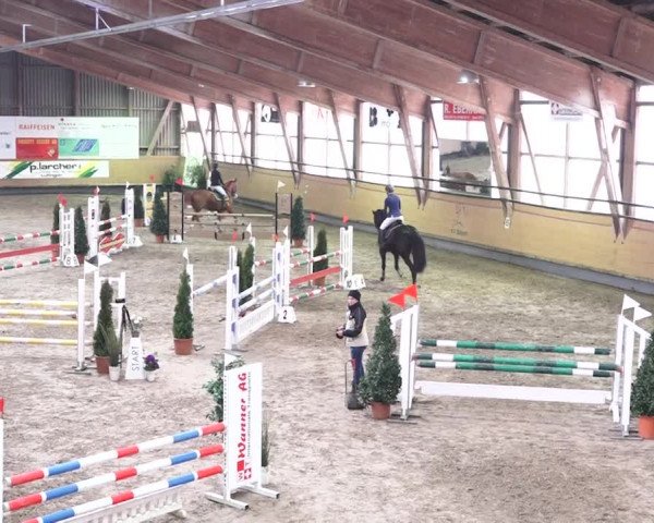 Reitturnier Bülach 2018