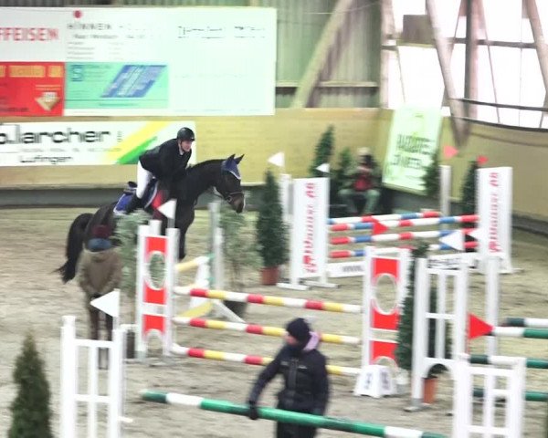 Reitturnier Bülach 2018