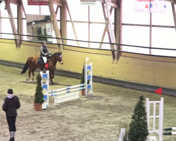 Reitturnier Bülach 2018