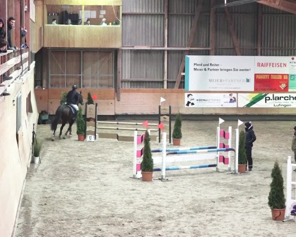 Reitturnier Bülach 2018