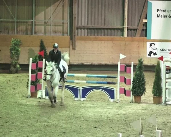 Reitturnier Bülach 2018