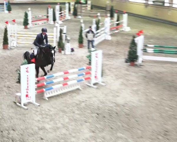 Reitturnier Bülach 2018